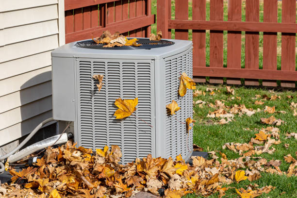 Best Best HVAC Companies  in Wayland, IA